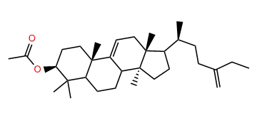 24-Methylene-31-nor-9(11)-lanostenol acetate